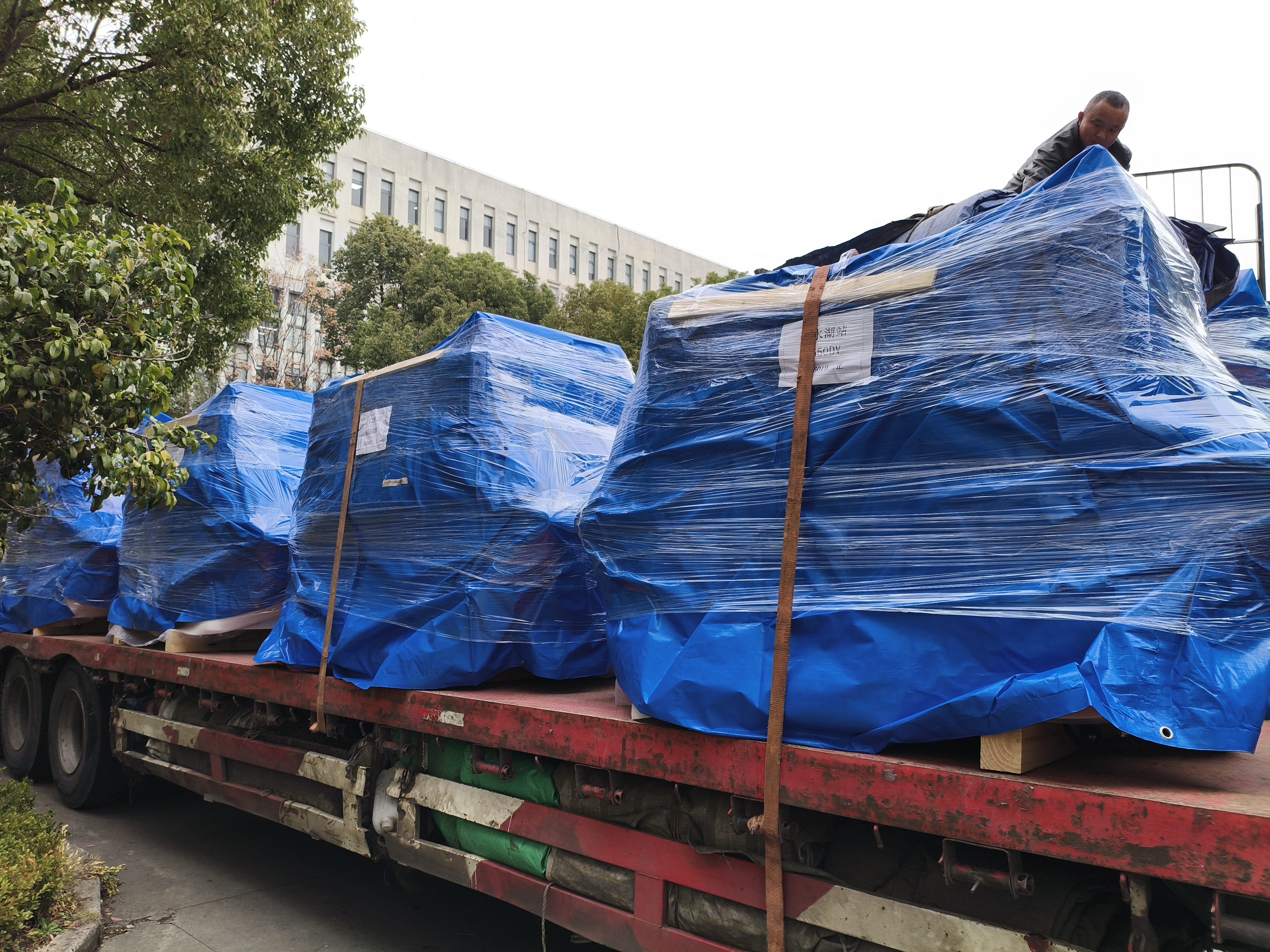 图片 2026.03.10 1.jpg